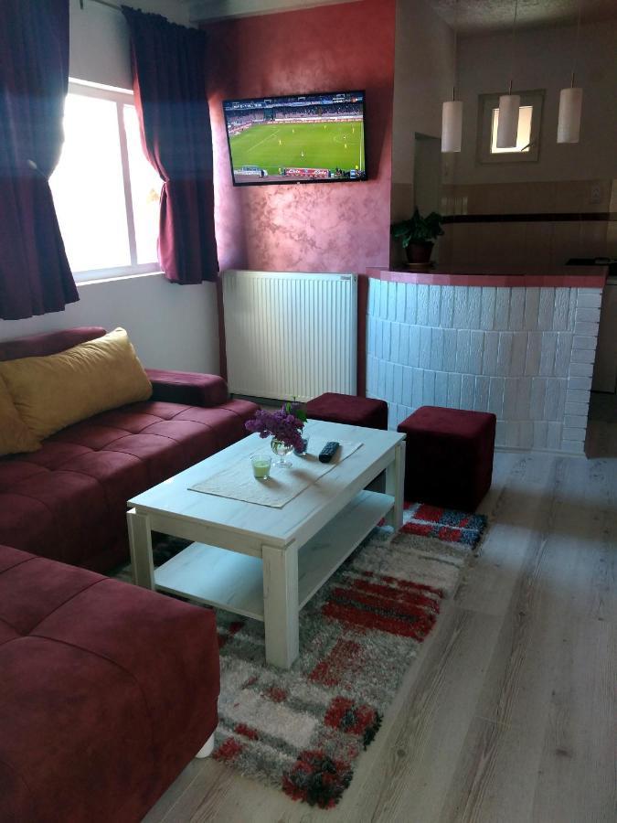 Apartments Vila Selena - Golija Rudno Ngoại thất bức ảnh