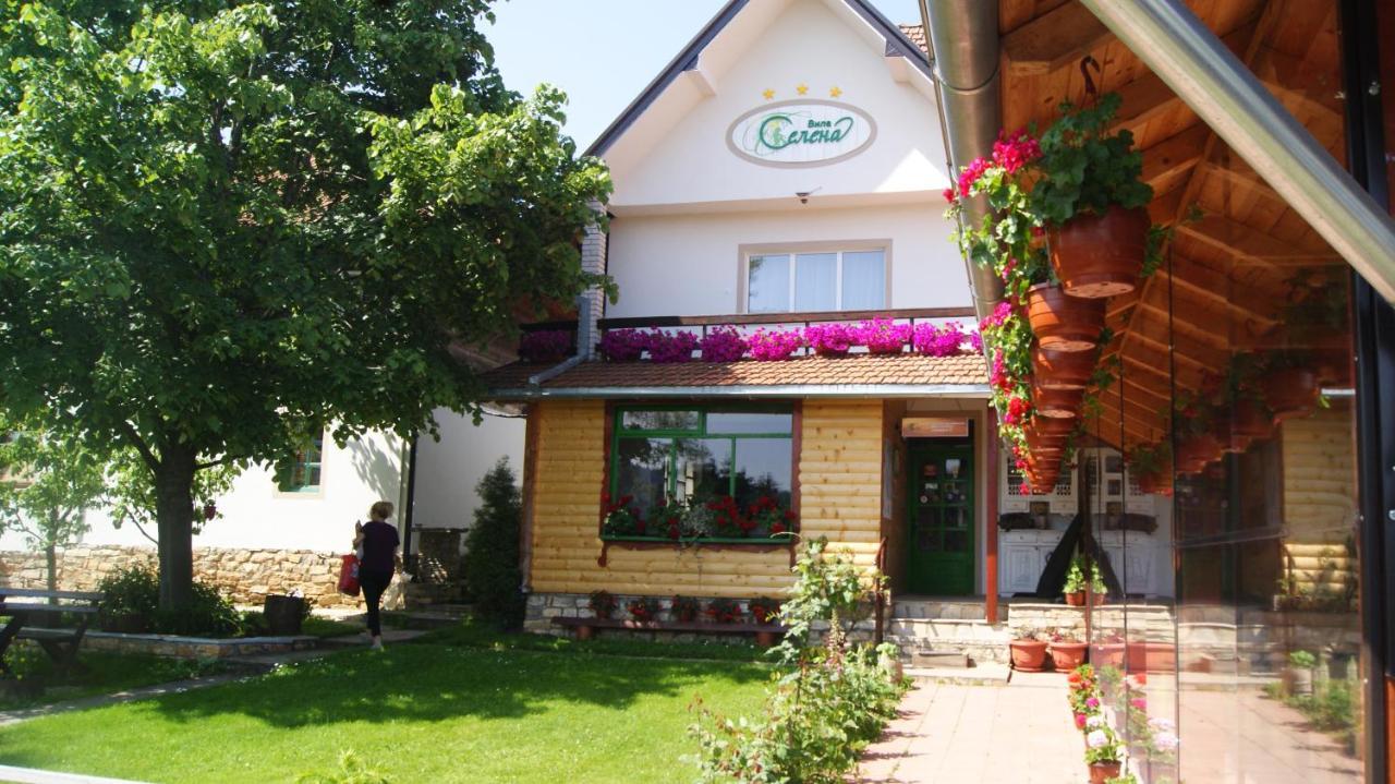 Apartments Vila Selena - Golija Rudno Ngoại thất bức ảnh
